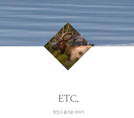 태상의 미니샵 바로가기, 집콕라이프의 질을 높이는 정보 공간