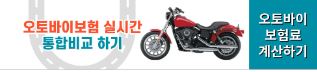 보험비교 보고서