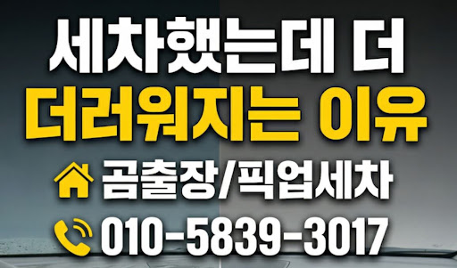 겨울철·장마철 안양출장세차로 관리하는 도장면 철분 제거 및 유리 발수 코팅 기술